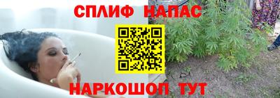 шишки Баксан