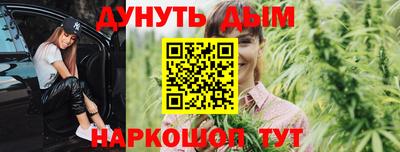 apvp Бердск