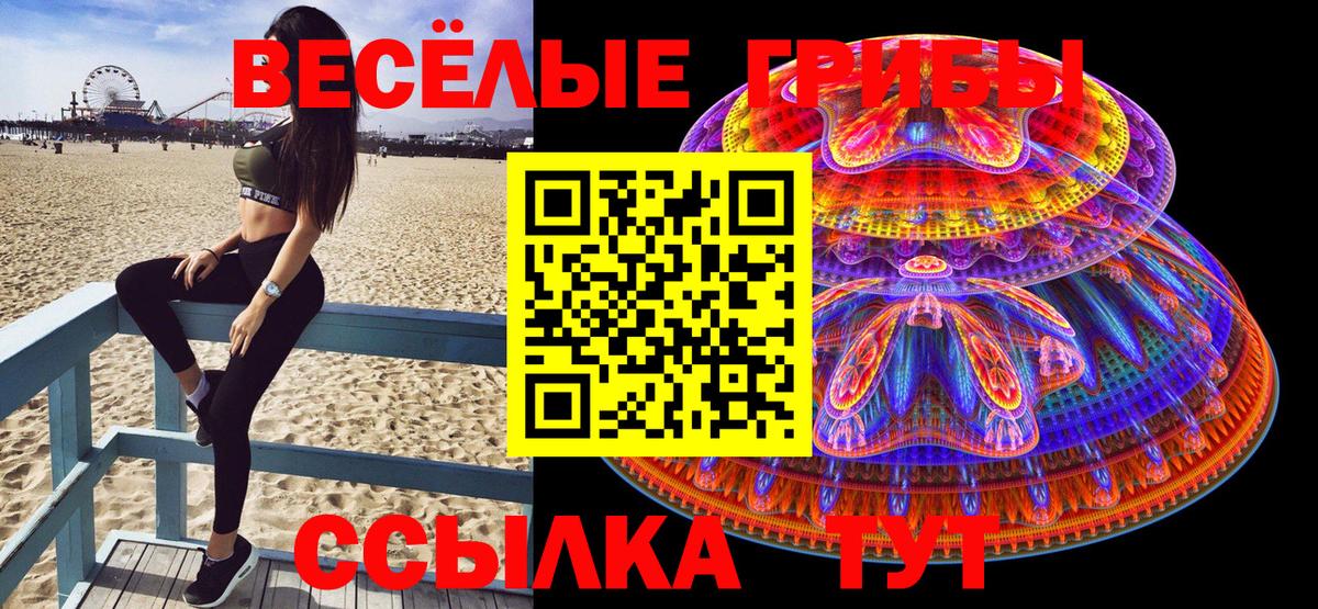 Псилоцибиновые грибы Psilocybine cubensis Городец